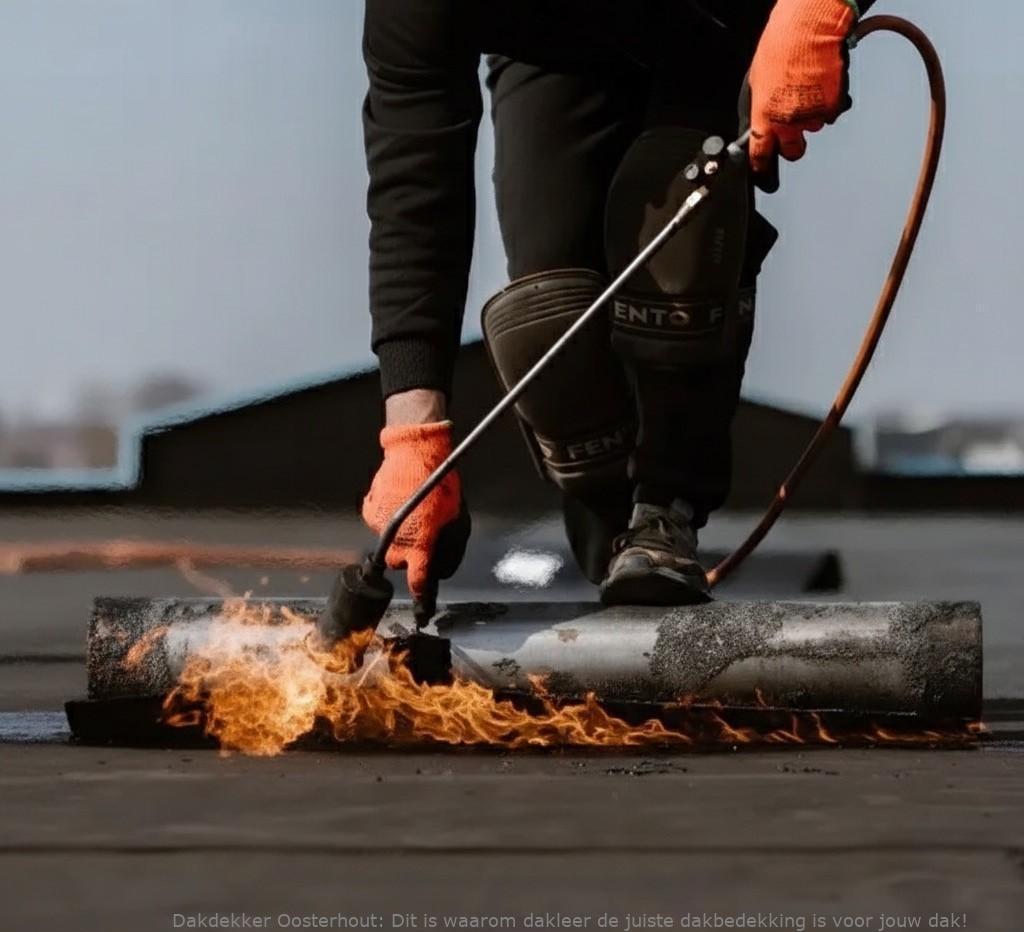 Bitumen Dakbedekking Dakleer Oosterhout