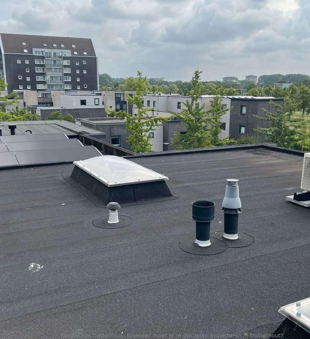 Dak Laten Inspecteren Oosterhout