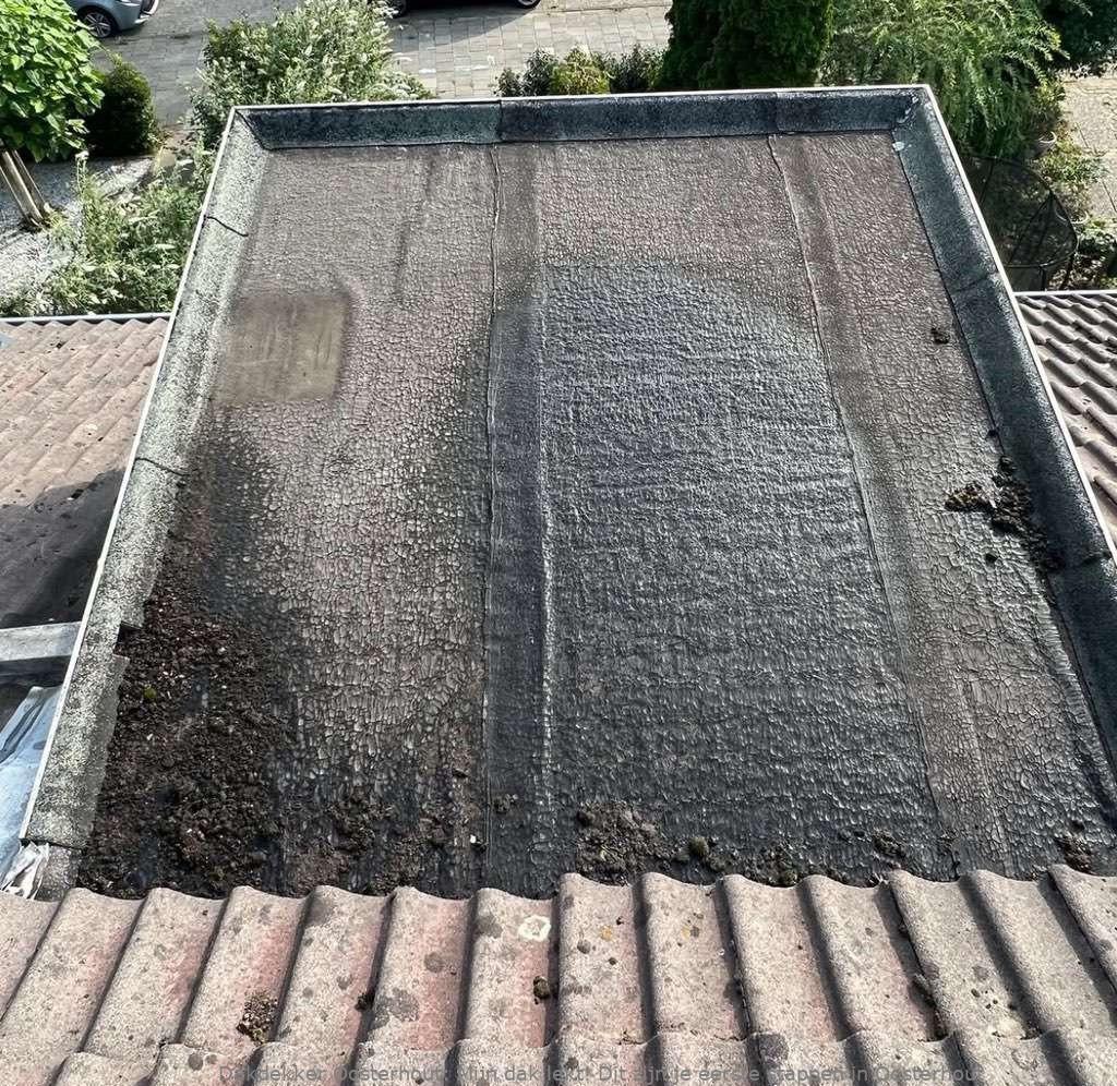 Dak Lekt Oosterhout