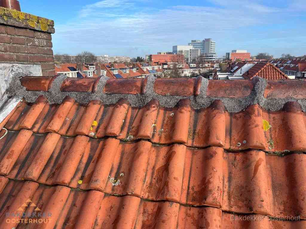 Nieuw bitumen plat dak met uitzicht over woonwijk in Oosterhout