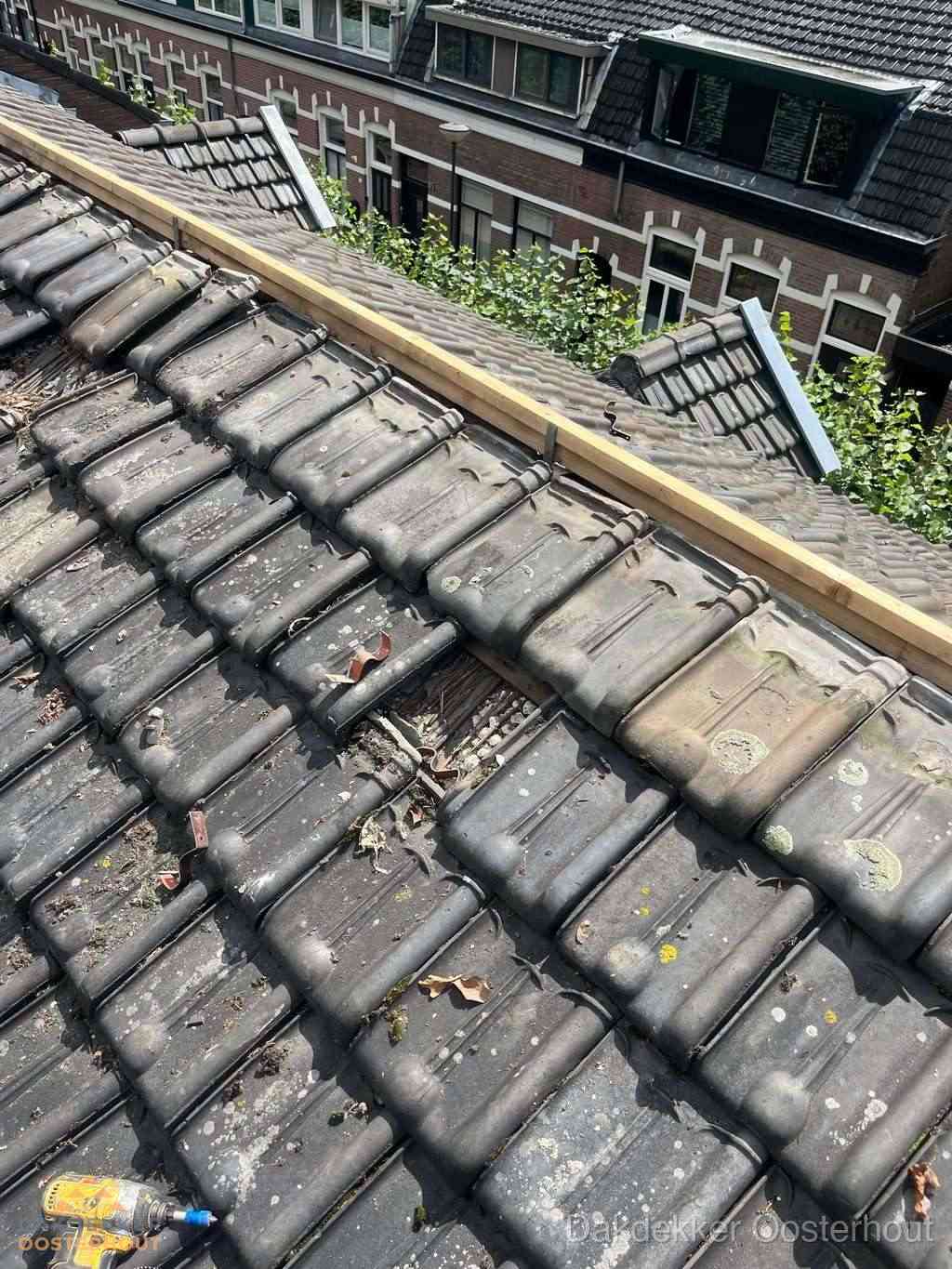 Dakonderhoud aan schuin pannendak met nokvernieuwing in Oosterhout
