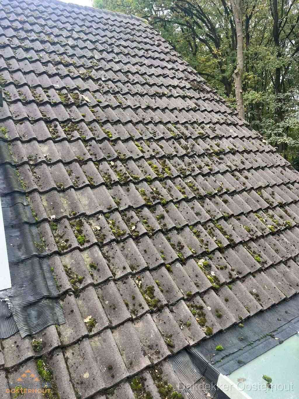 Verweerd pannendak met mosgroei dat renovatie nodig heeft in Oosterhout