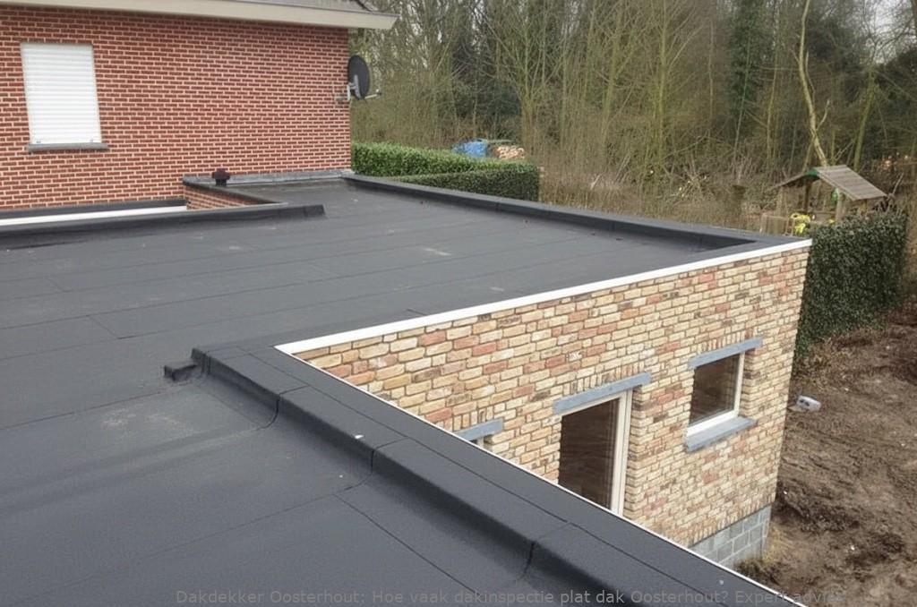 Dakinspectie Plat Dak Oosterhout