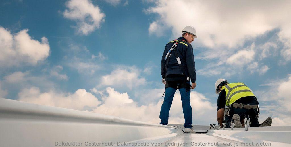 Dakinspectie Voor Bedrijven Oosterhout