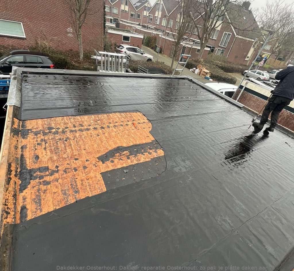 Dakleer Reparatie Oosterhout