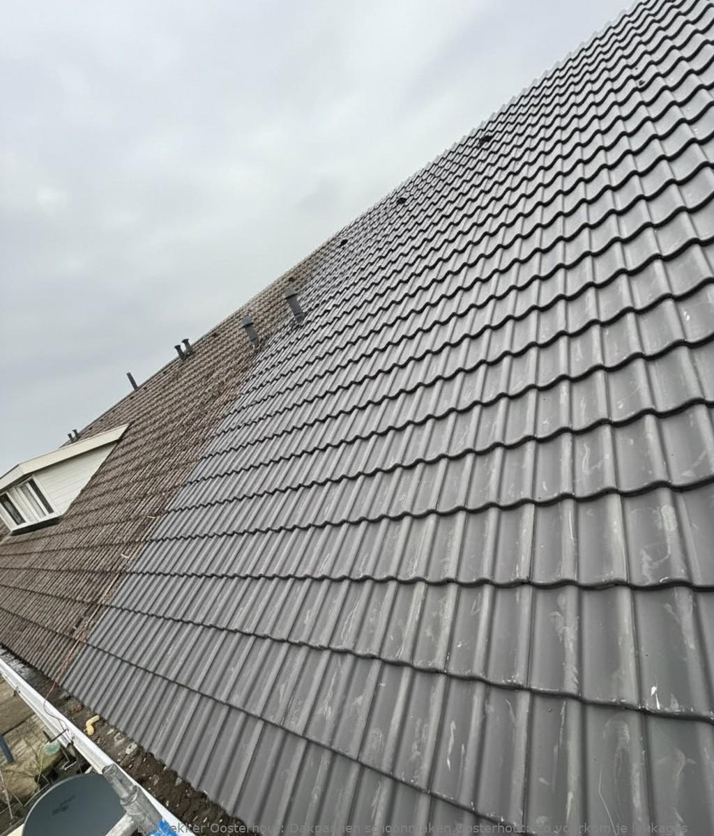Dakpannen Schoonmaken Oosterhout