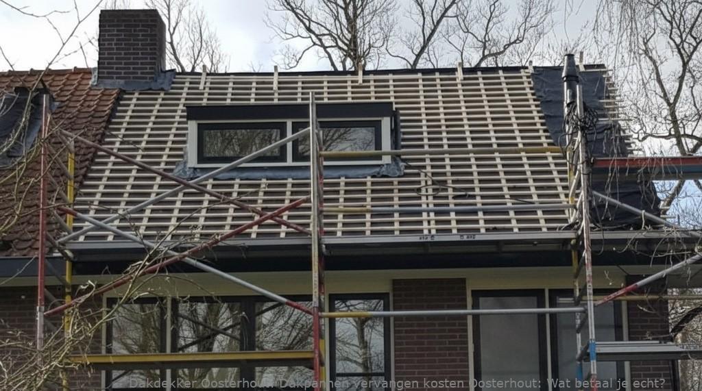 Dakpannen Vervangen Kosten Oosterhout