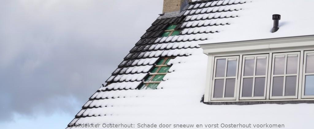 Schade Door Sneeuw En Vorst Oosterhout