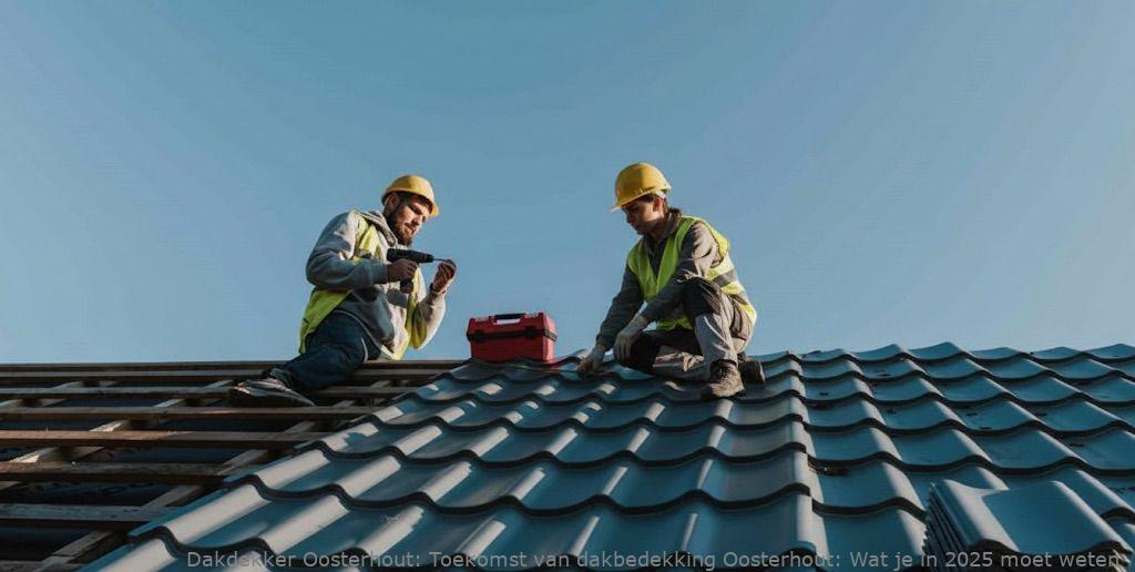 Toekomst Van Dakbedekking Oosterhout