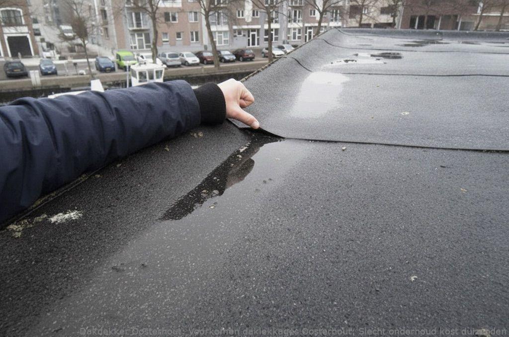 Voorkomen Daklekkages Oosterhout
